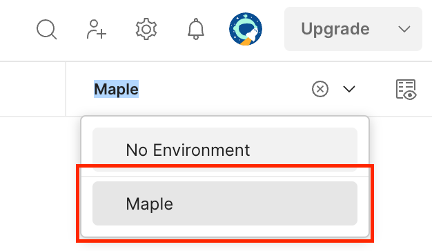 Set Maple environment